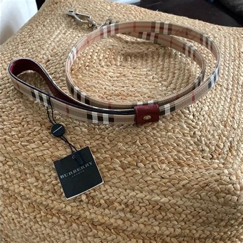 authentic burberry dog collar and leash|burberry bucket for small dog.